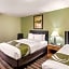 Quality Inn & Suites Plano