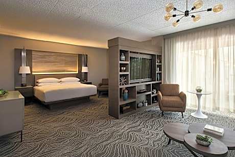 Executive Suite, 1 King, Sofa bed