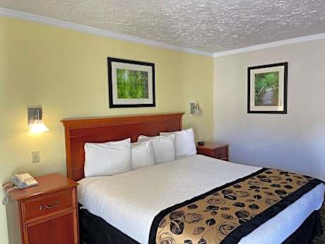 Single Room with Bathroom