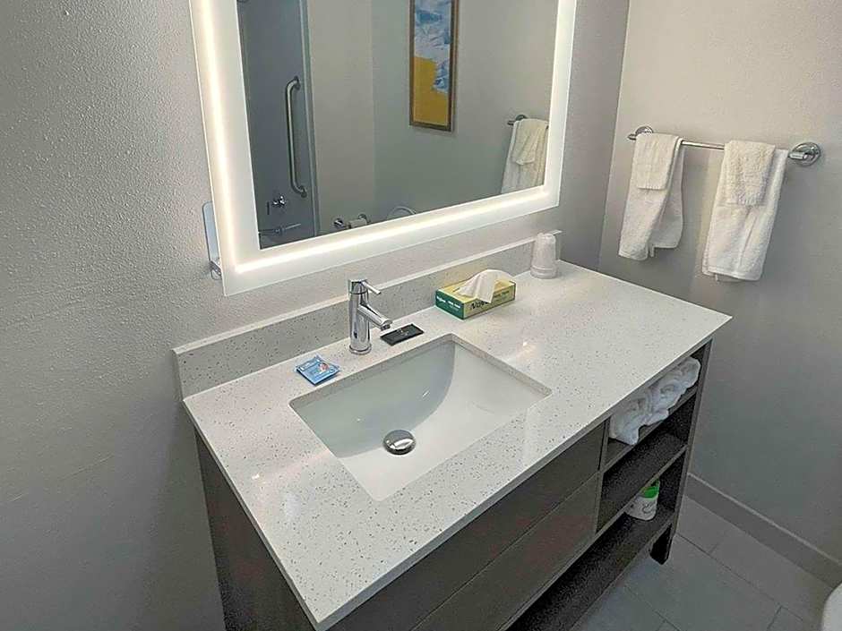 Comfort Suites Mobile-South Alabama University Area