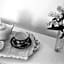 B&B Vivere Palermo