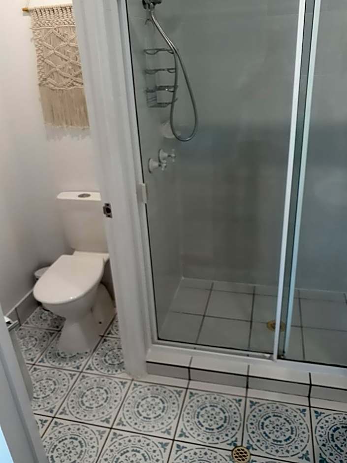 Pandanus Coolum Beach