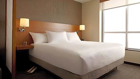 Accessible King Bed/Roll-In Shower (with sofa bed)