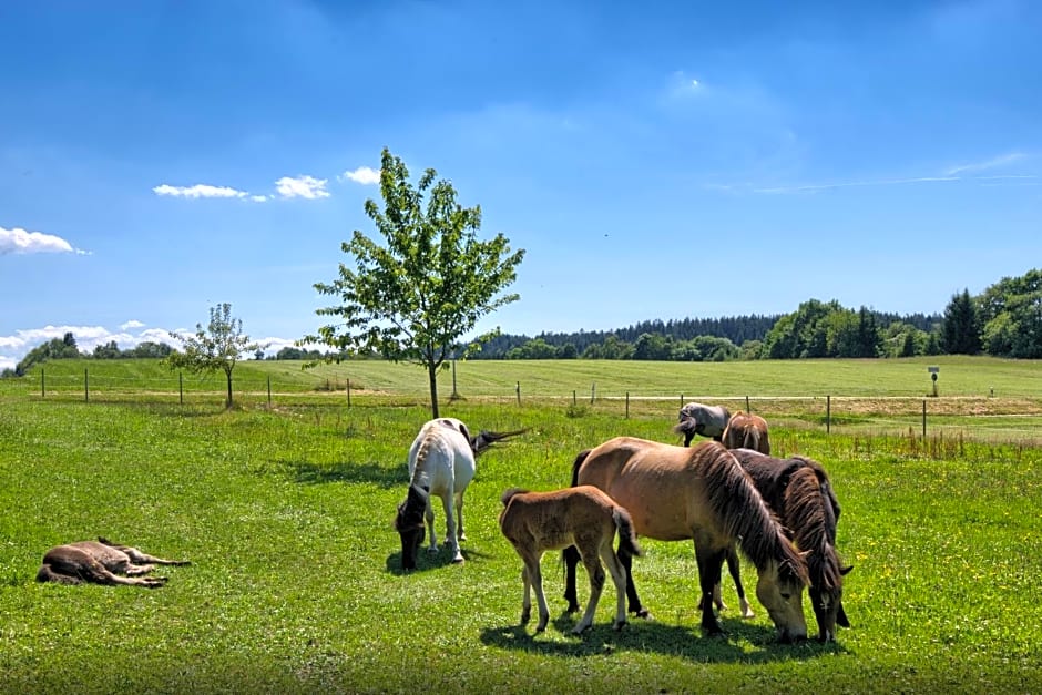 Landgasthof Zum Schwanen