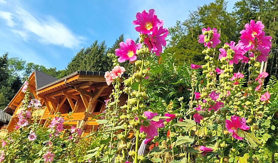 Chalet Arpitan - rentals