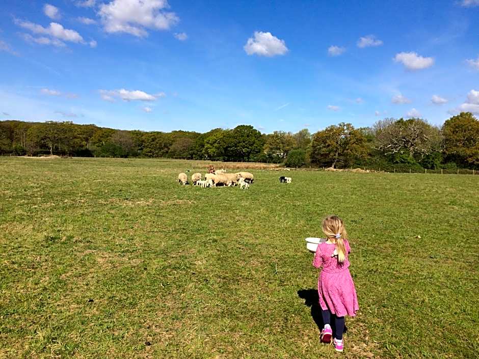 Luxurious Rural Cabin with Hot Tub
