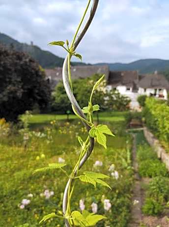 Monkey Factory - Mini Home-Stay Hostel