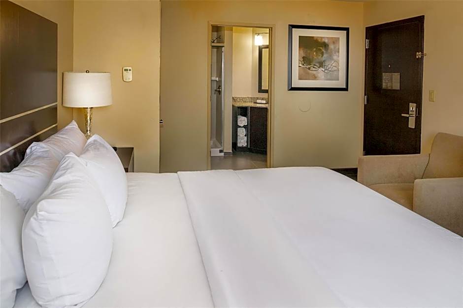 Embassy Suites By Hilton Hotel St. Louis-Airport