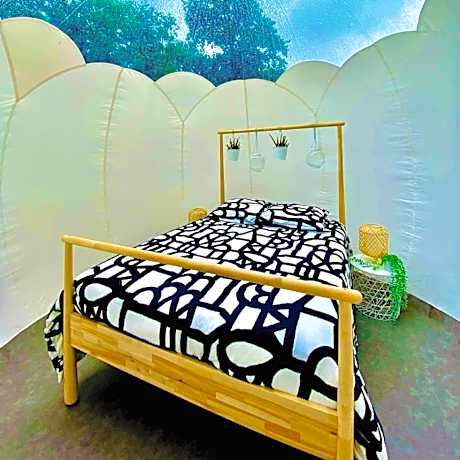 Starry bubble with private Nordic bath