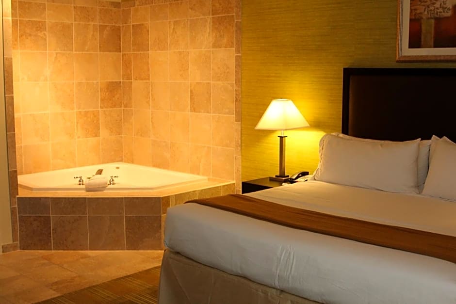 Holiday Inn Express Hotel & Suites Indianapolis W - Airport Area by IHG