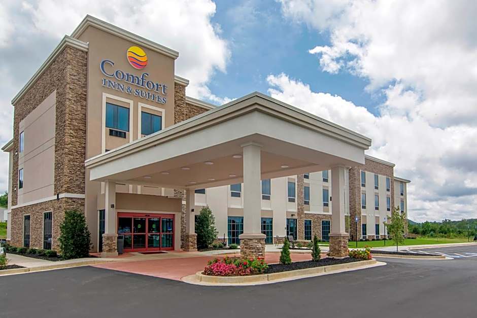 Comfort Inn & Suites East Ellijay