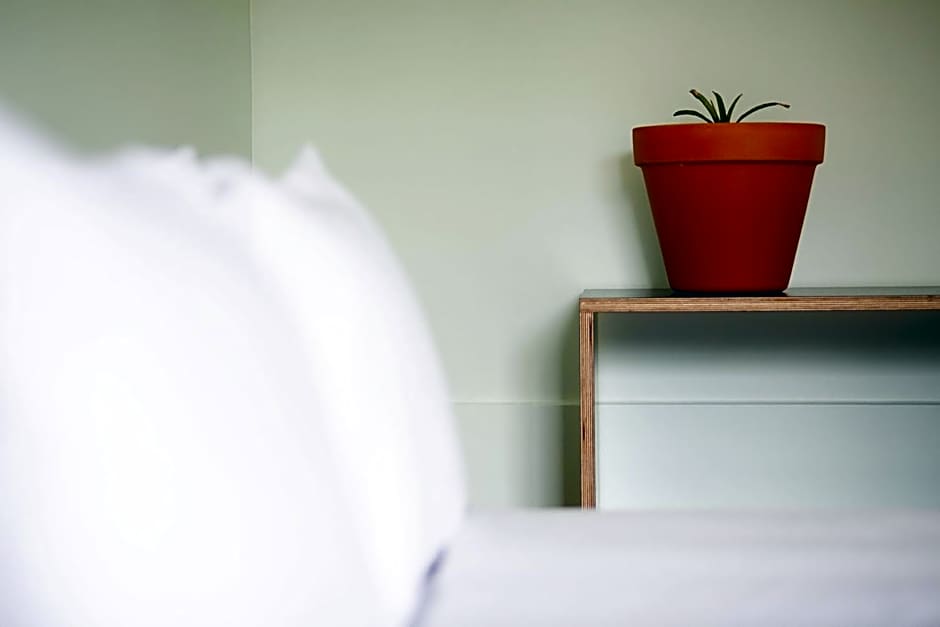 SALT LIPS - Azores Surf Experience