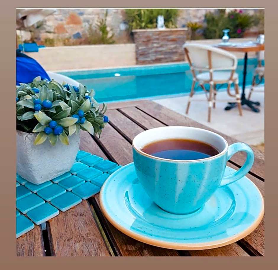 Livia Garden Hotel