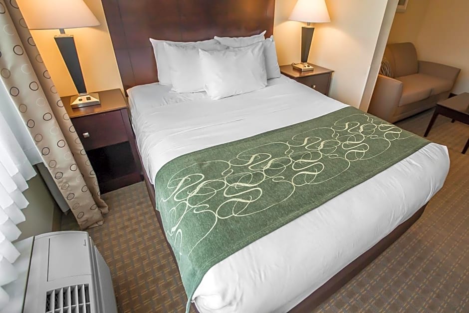 Comfort Suites University Area