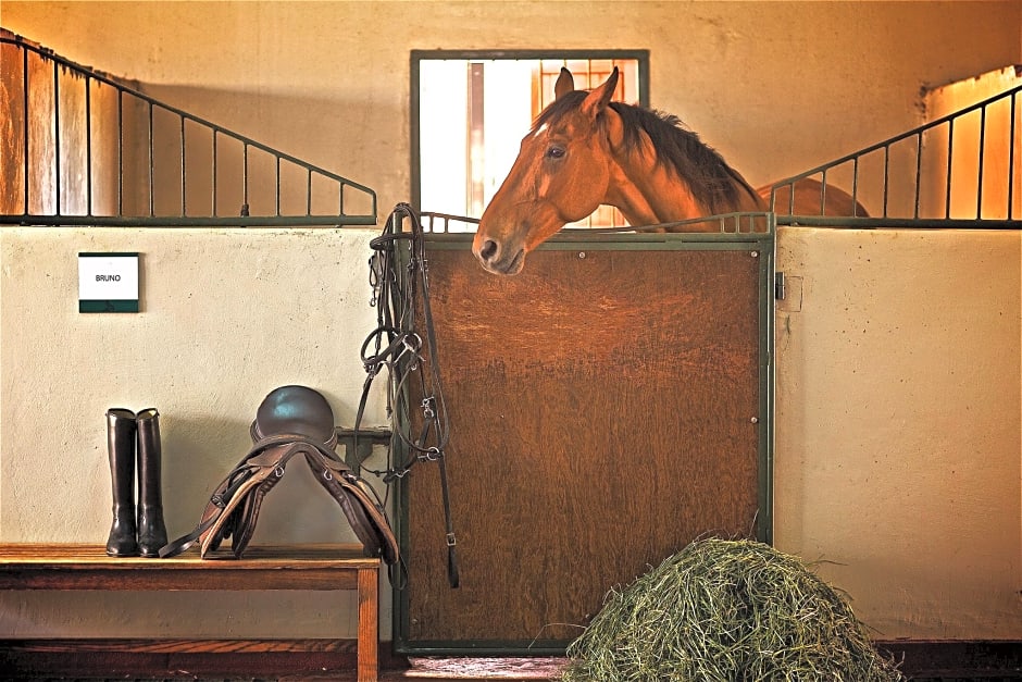 The Ritz-Carlton Ras Al Khaimah Al Wadi Desert