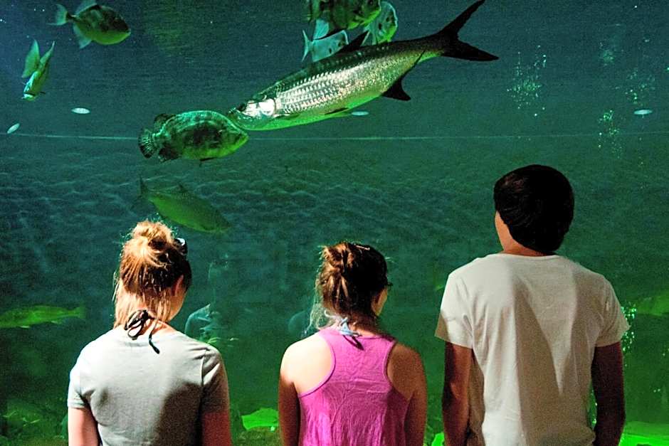 Candlewood Suites Lake Jackson By IHG