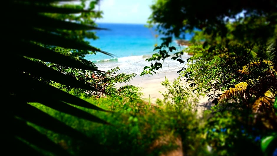 Half Moon Blue Hotel