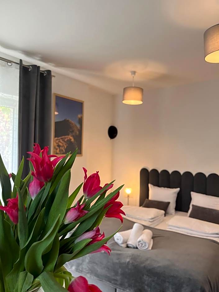 Karkonoskie Widoki Apartamenty