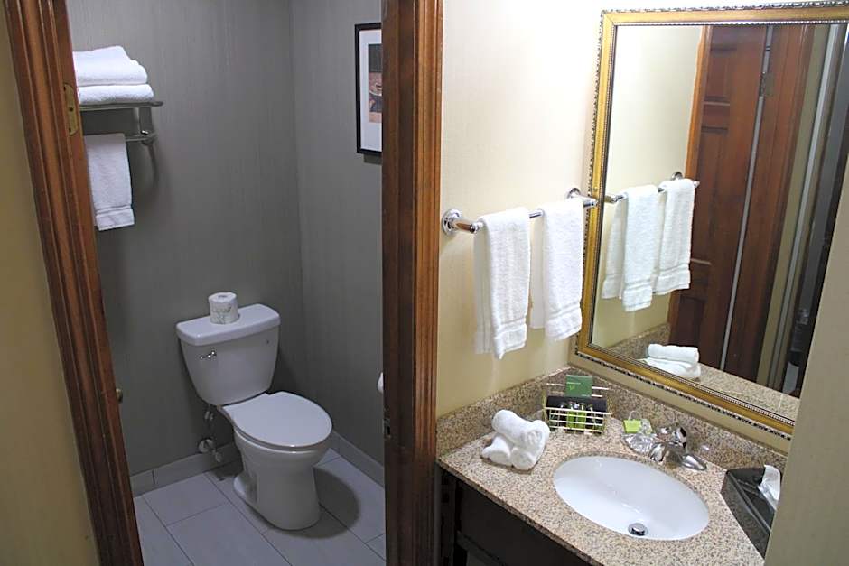 The Black Swan Lee - Lenox, an Ascend Collection Hotel