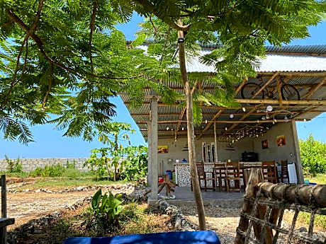 Habibis Bottle House