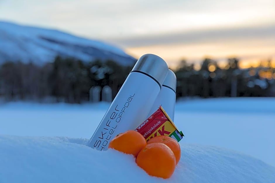 Quality Hotel Skifer