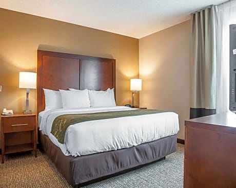1 King Bed Business Room Suite Nonsmoking