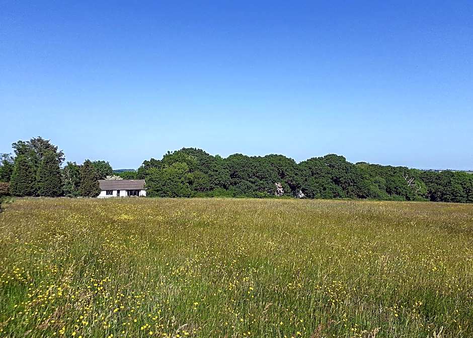 Eastcott Lodges