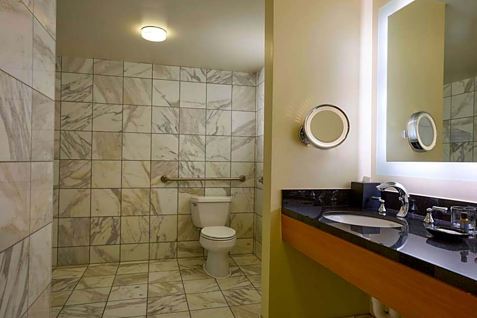 The Westin Detroit Metropolitan Airport