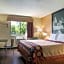 Super 8 by Wyndham Taylor/Detroit Area