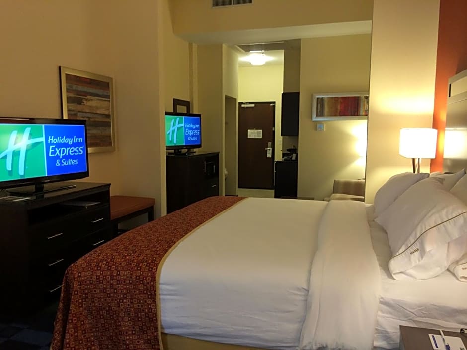 Holiday Inn Express And Suites Columbia University Area