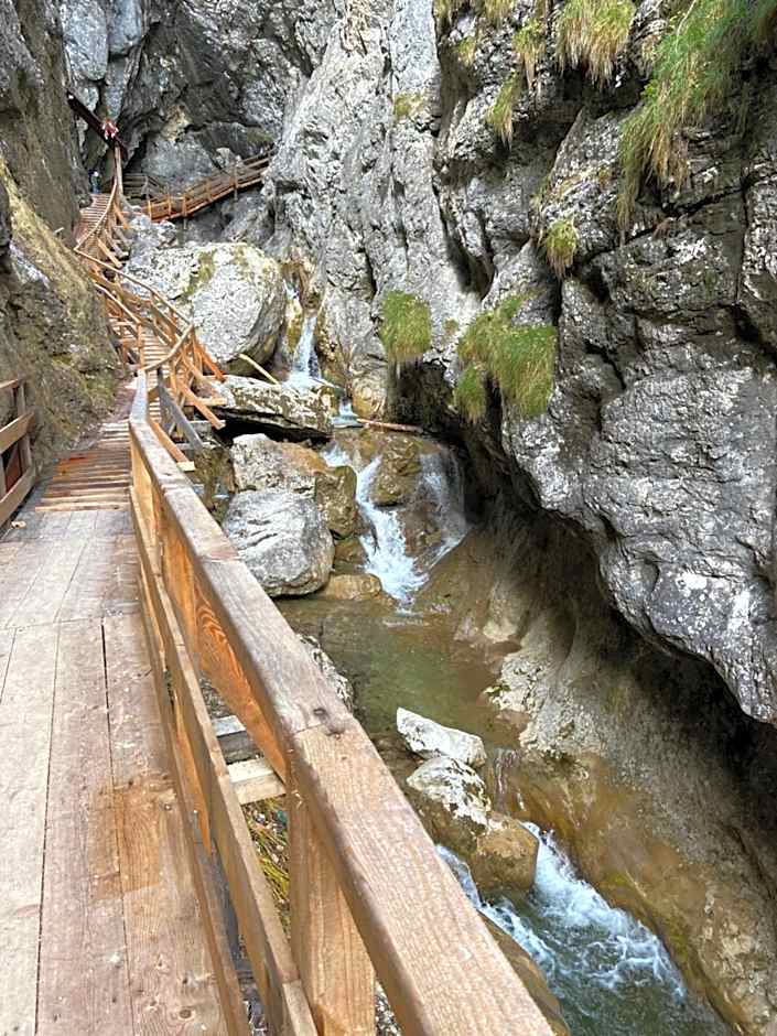 Steinerhaus Berggasthof