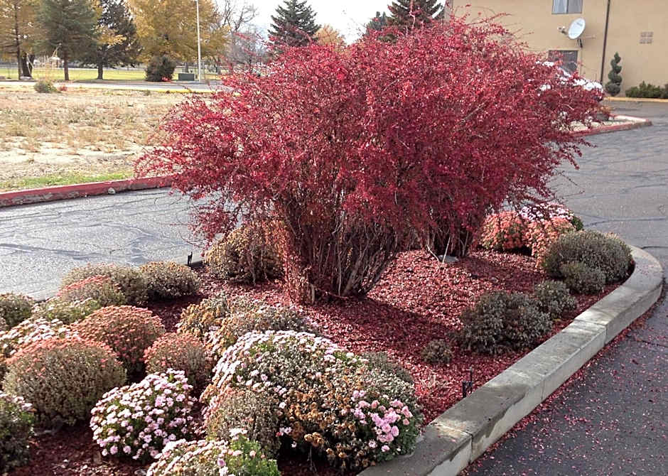 Super 8 by Wyndham Elko