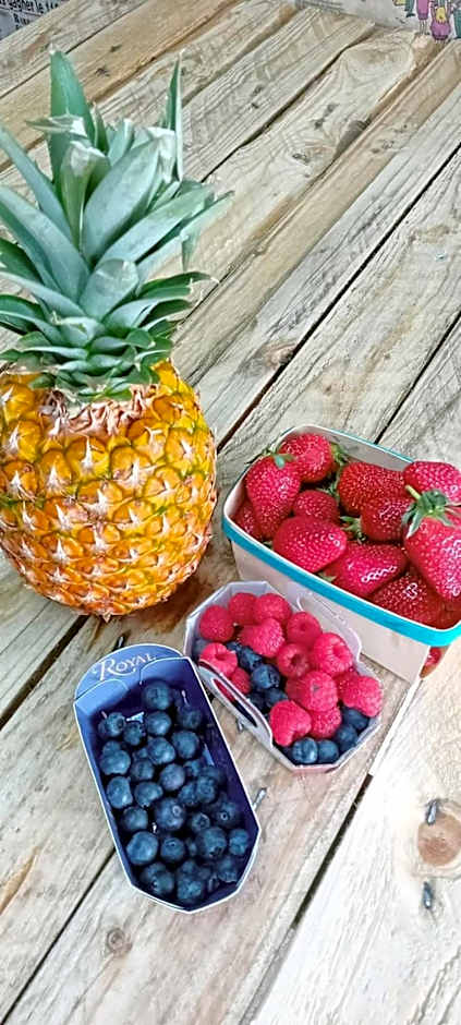 HOULALA - Relais d'étape - Chambres d'hôtes