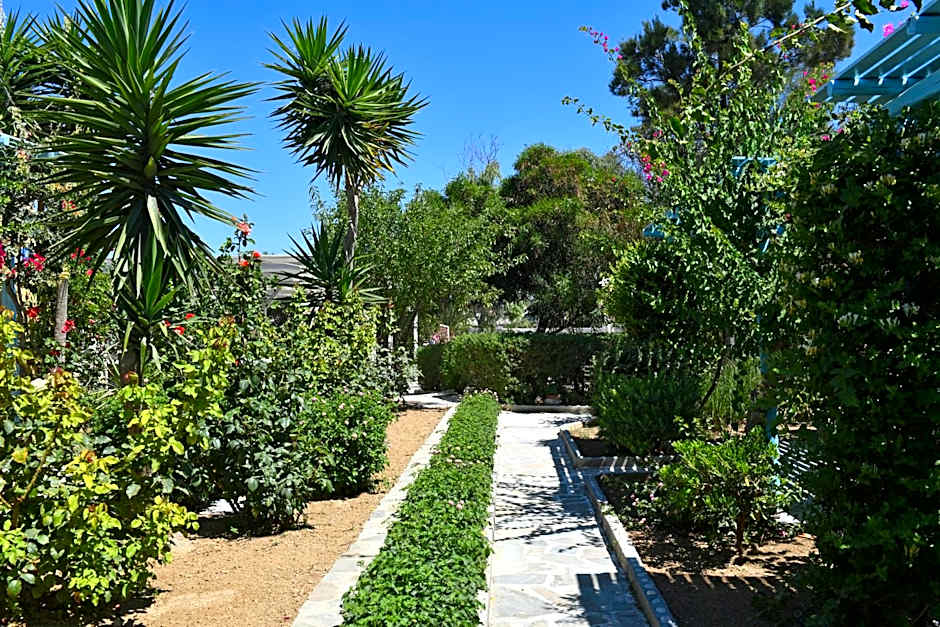 Surfing Beach Village Paros