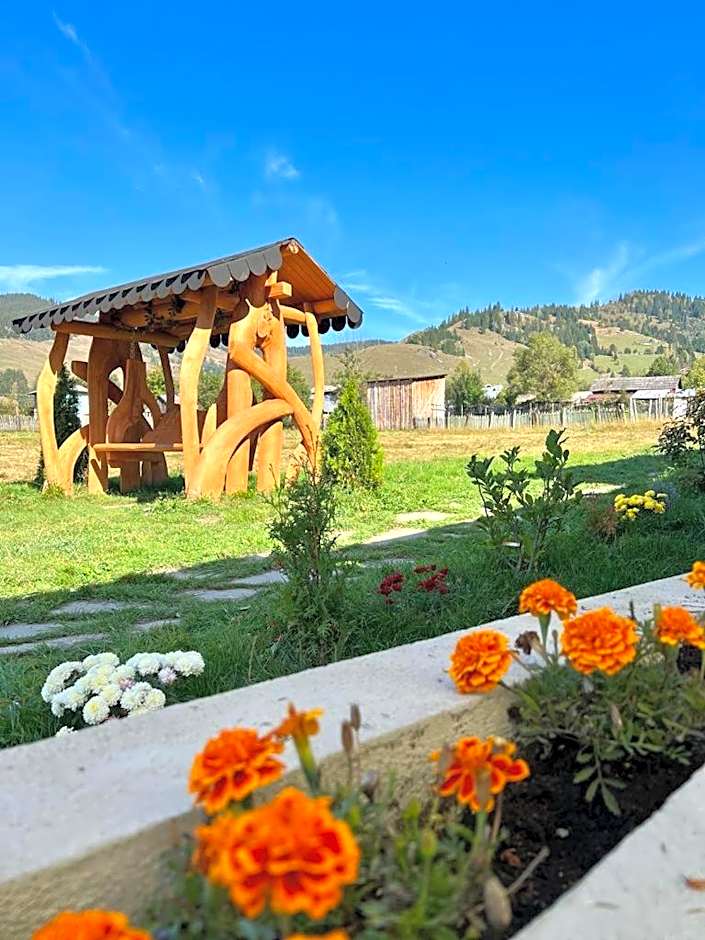 Pensiunea Mireasma Bucovinei