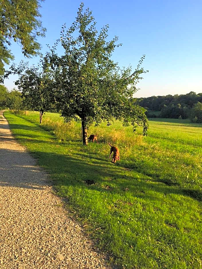 Waldhotel Brand's Busch