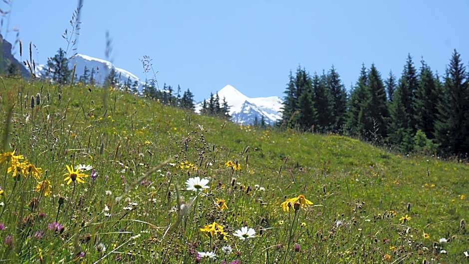 Alpenkräuter Hotel Bären