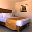 Hotel Guillen Jr