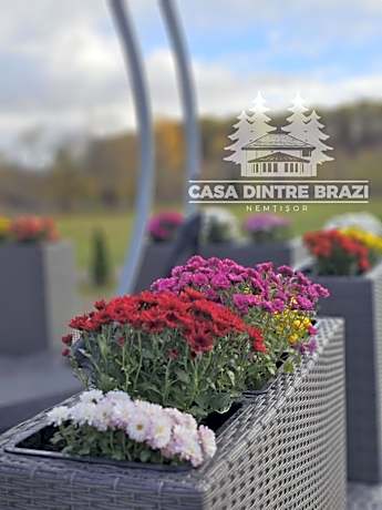 Casa Dintre Brazi