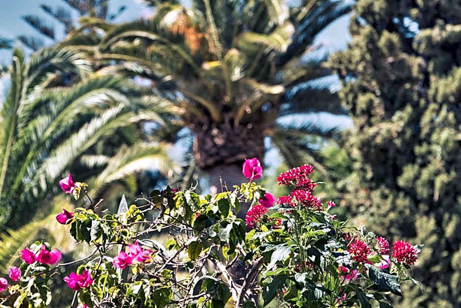 Boutique Hotel Las Islas