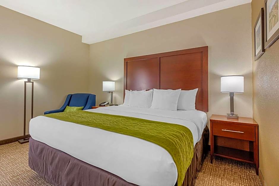 Comfort Inn Lenoir City-Knoxville