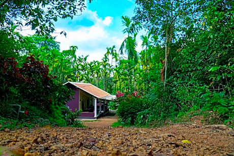 Mithila Nature Stay - Agumbe Homestay