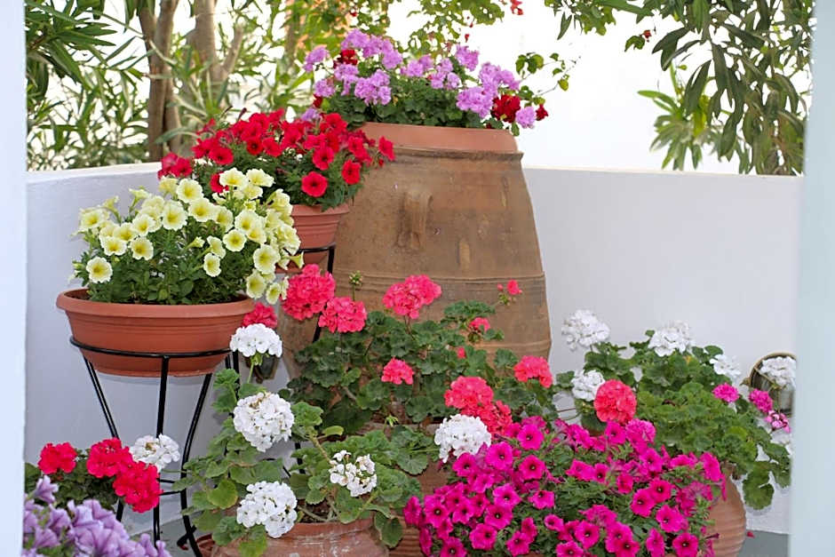 SPIROS & HIROKO Hotel - ADULTS ONLY