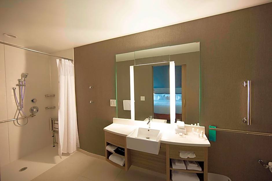 SpringHill Suites by Marriott Athens Downtown/University Area