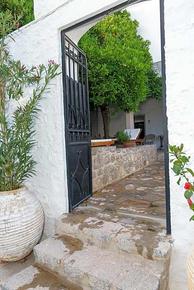 LIVIN Hydra Garden Suite