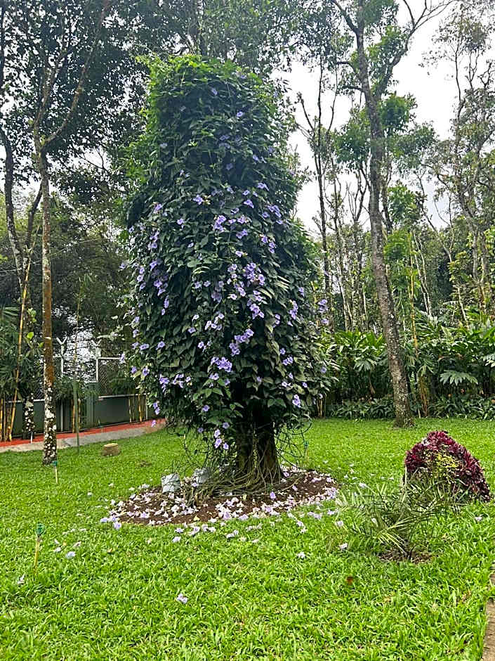 Beaumont Plantation Retreat