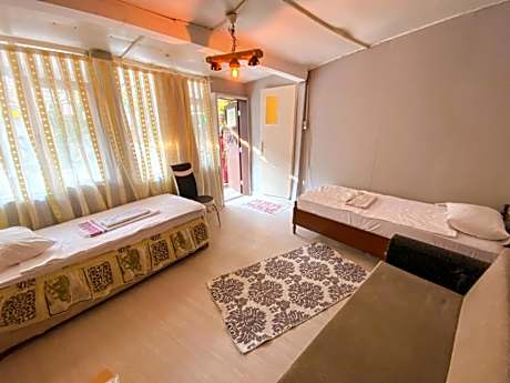 Bunk Bed in Mixed Dormitory Room