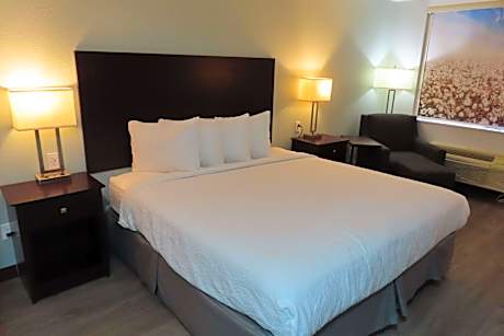 Suite-1 King Bed Non-Smoking Sofabed Microwave And Refrigerator Wi-Fi Full Breakfast