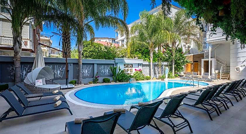 Sealife Lounge - Adult only