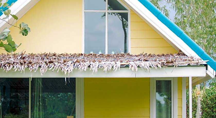 Terrua Main Ten Villa Garden